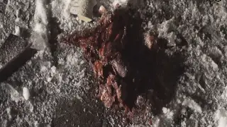 Срочно!! Мотель!! Укрофашисты уничтожают нас!!!