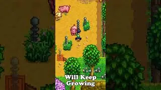 5 Game Mechanics You Might Not Know about in Stardew Valley #stardewvalley #philchill #gaming