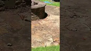 Hardscape Washing Results - 17