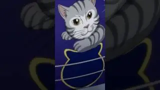 Hawkeye is a cat person 🐱