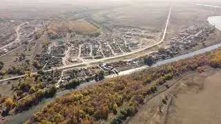 Винные заросли