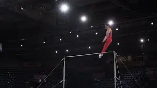 Artur Dalaloyan (RUS) HB - 2019 Worlds Stuttgart - Podium Training
