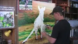 Зебра, эксперимент.