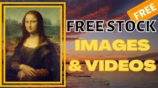 Top 5 websites to find stock images, videos and vector graphics