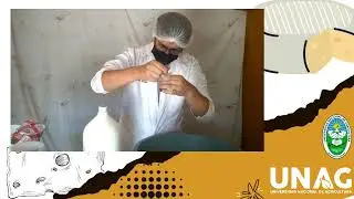 PROCESO DE ELABORACIÓN DE PRODUCTOS LÁCTEOS