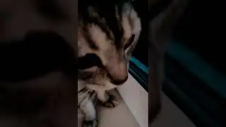 сеаааааааааааааа!!!!