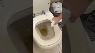 HOW TO CLEAN A GRINDY TOILET - How to remove scale from the toilet bowl
