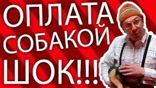 ПЕРВЫЙ РАЗ В КАЧАЛКЕ