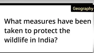 What measures have been taken to protect the wildlife in India? class 10th Geography