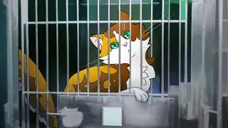 ANIMAL LOVER 😻