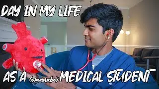 A Day in My Life as a wannabe Medical Student