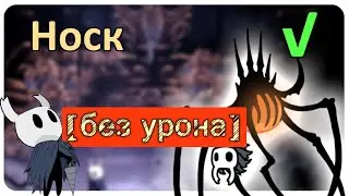 ◈ Hollow Knight: Носк [ без урона ] ◈
