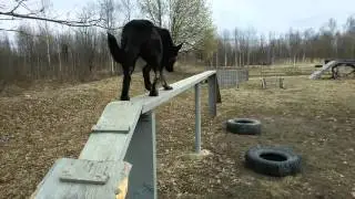 Хельхаус Застава  --преодoление препятствий