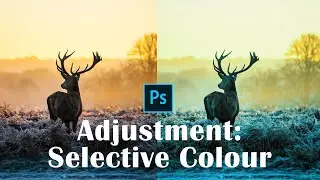 Selective Color Photo Effect in Adobe Photoshop | Selective Color Adjustment in Adobe Photoshop