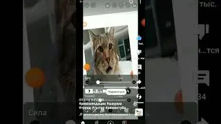 аоалкшепоал