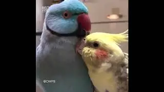 Хочу мужа!!!
