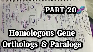 PART 20🧬||  Homologous gene || Orthologs & paralogs ||