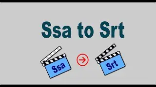 Ssa To Srt