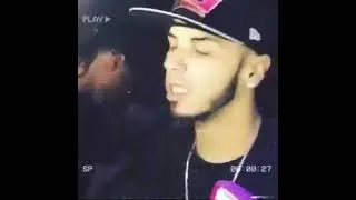 como quiera te la aplicó × Anuel
