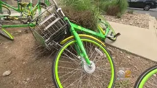 Dockless Bike Share Program Could Be Coming To NYC