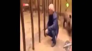 Приколы 2015 Подборка приколов #167 # FAIL COMPITATION