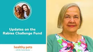 Updates on the Rabies Challenge Fund