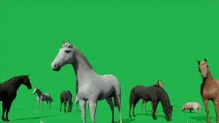 Horses Screen Green