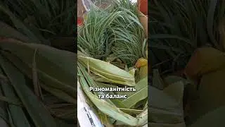 Так, визнаю свою помилку ❌