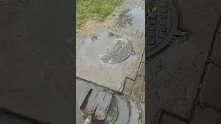Астана 07.07.24 ливень