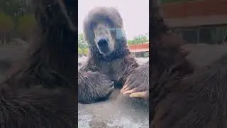 When Dodge is excited to see you