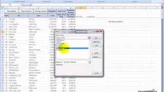 Excel Macro Web Query (Excel Automation)