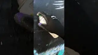 Rusto Female Thin Cap Demo