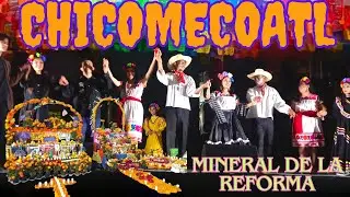 Festival Chicomecóatl Mineral De La Reforma (Concurso de altares)