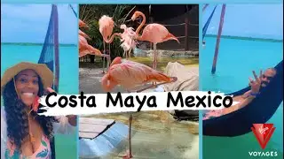 VIRGIN VOYAGES | COSTA MAYA | BEST EXCURSION FOOD