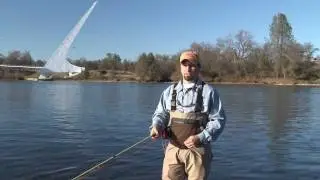 Fly Casting Basics