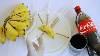 Experiment : Coca Cola vs Banana | Injecting Coke into Banana | Banana Hacks