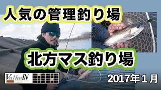 愛知県一宮市　北方マス釣り場を攻略！