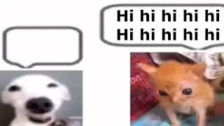 Turi ip ip ip vs Hi hi hi hi hi
