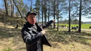История Материнской любви