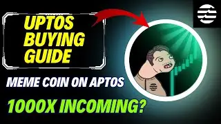 How To Buy Uptos Meme Coin on Aptos Network | Step-By-Step Guide