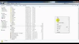 how to setup IGI game