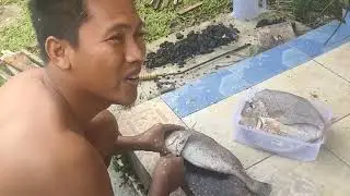 Hasil mancing di laut Belitung!!  langsung kami Bakar..