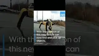 Boston Dynamics Spot With Robotic Arm Upgrade