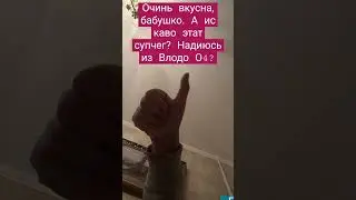 Печальная история с голубем •|• #неубивайголубей #recommendations #врек