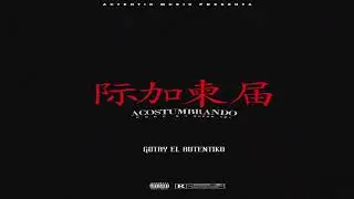 Acostumbrando - Gotay El Autentiko