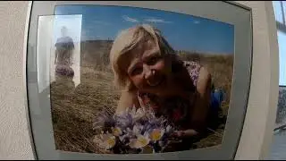 Экскурсия по фотовыставке 