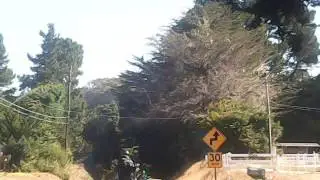 LBoC ride to the redwood