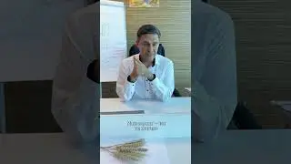 Чего не хватило в Сибири при обильных осадках? #сельскоехозяйство #фермер #агроном #урожайность