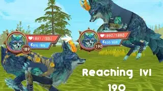 finally reaching level 190 on fox -wildcraft-
