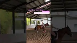 та самая осознанная в 8:00 понедельника 😂 #юмор #смешноевидео #осознанность